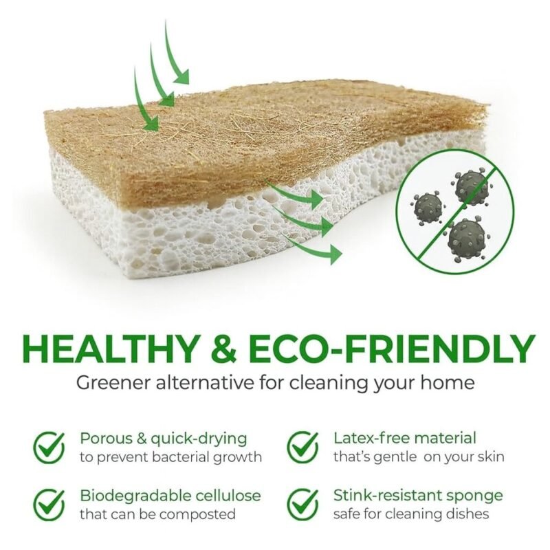 Plant-Based Sponges: Eco-Friendly Cleaning Solution - Image 2