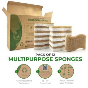 Plant-Based Sponges: Eco-Friendly Cleaning Solution